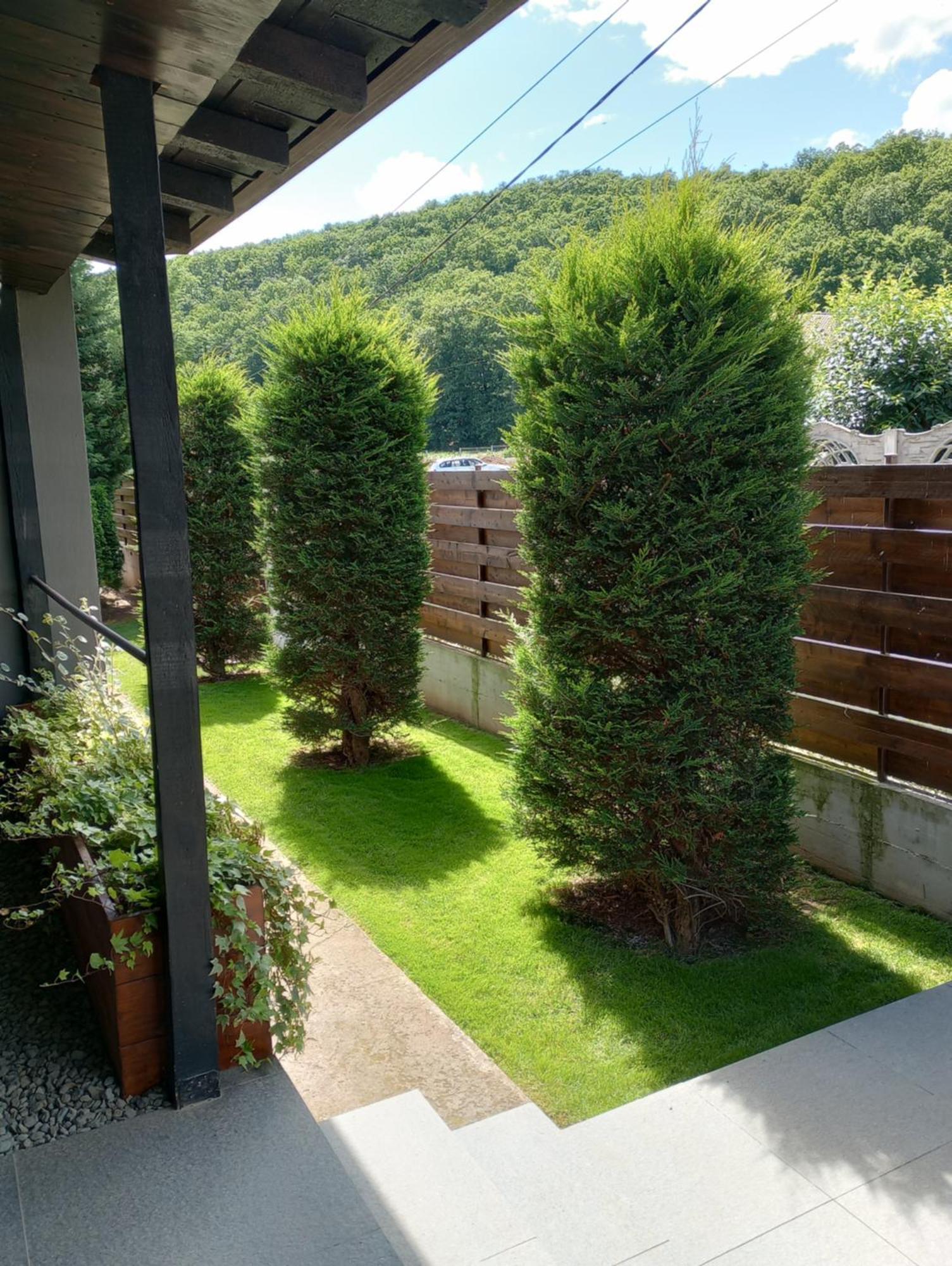 Vila Gosen Sard Exterior photo